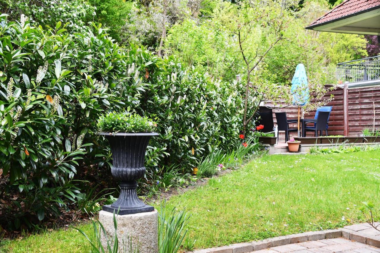 Ferienwohnung In ซาสนิทซ์ ภายนอก รูปภาพ
